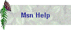 Msn Help