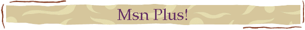 Msn Plus!