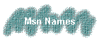 Msn Names