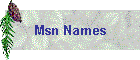 Msn Names