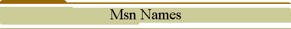 Msn Names
