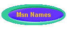 Msn Names
