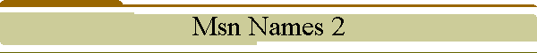 Msn Names 2