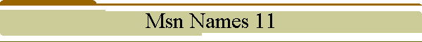 Msn Names 11