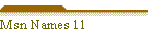 Msn Names 11