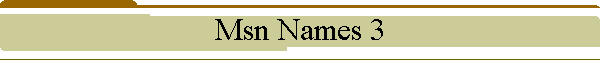 Msn Names 3