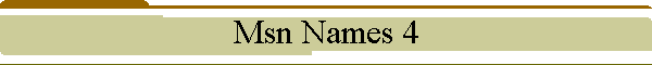 Msn Names 4