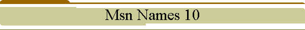 Msn Names 10
