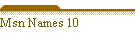 Msn Names 10