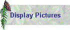 Display Pictures