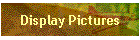 Display Pictures